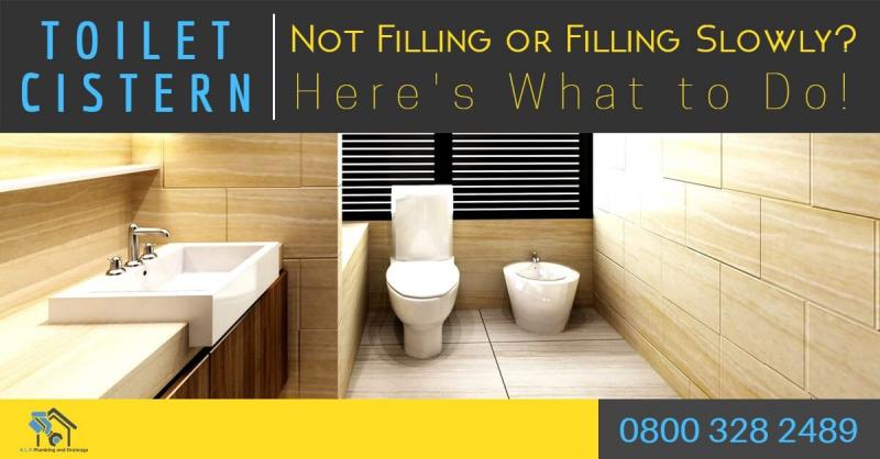 Is Your Toilet Too Slow to Flush. : Here