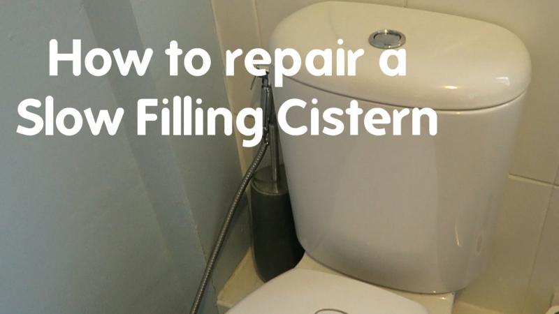 Is Your Toilet Too Slow to Flush. : Here