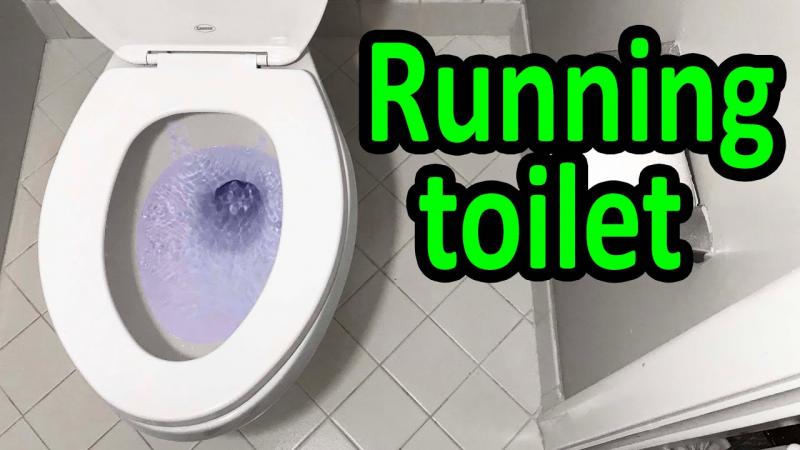 Is Your Toilet Too Slow to Flush. : Here