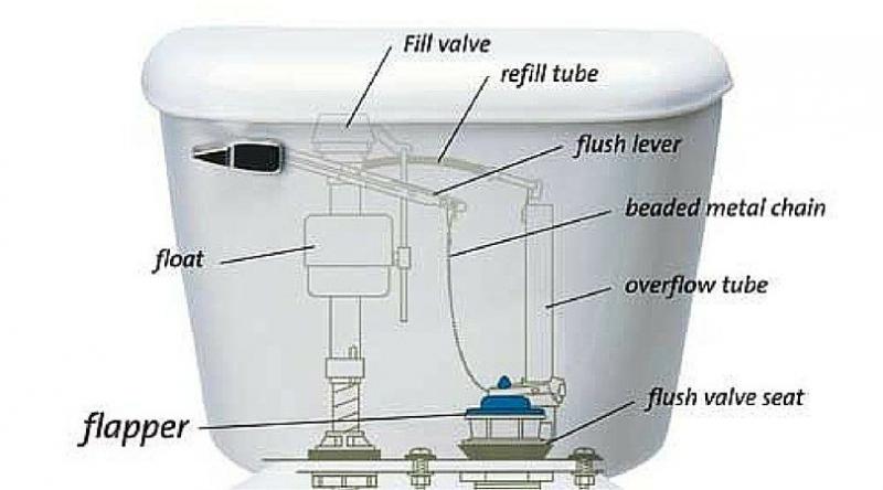 Is Your Toilet Too Slow to Flush. : Here