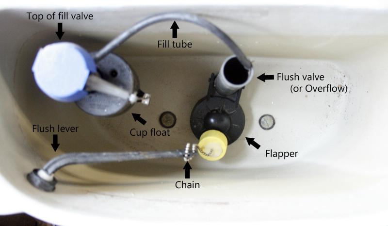Is Your Toilet Too Slow to Flush. : Here