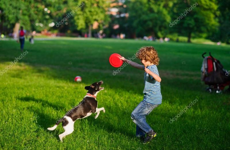 Is Your Volleyball Net Ready for the Park This Summer. 15 Ways to Upgrade Your Park & Sun Gear for Maximum Fun