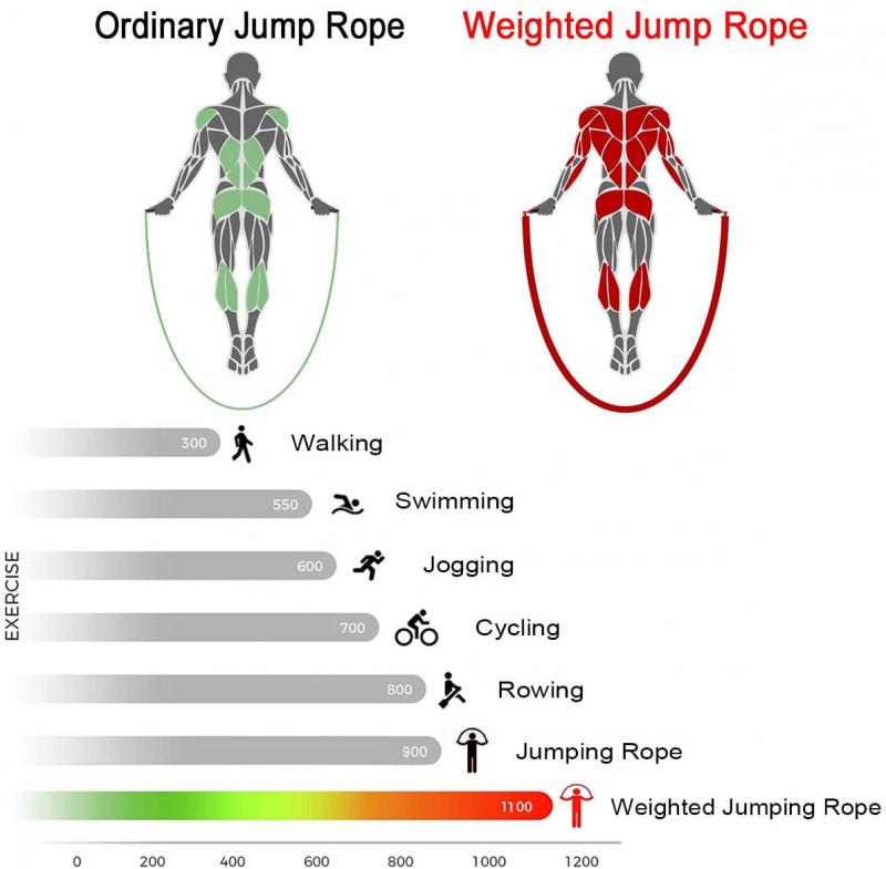 Jumpstart Your Fitness Now: Discover the Ethos Speed and Weighted Jump Ropes for Max Results