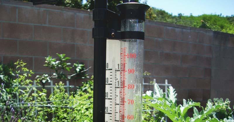 Just How Accurate is Your Rain Gauge: Discover the 15 Factors That Impact Rain Measurement Accuracy