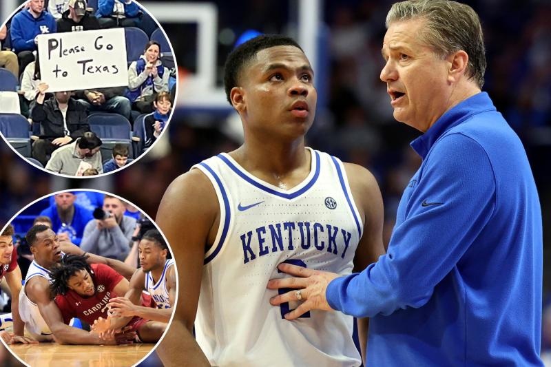 Kentucky Wildcats Fans: How to Find Amazing Apparel Near You in Just 15 Steps