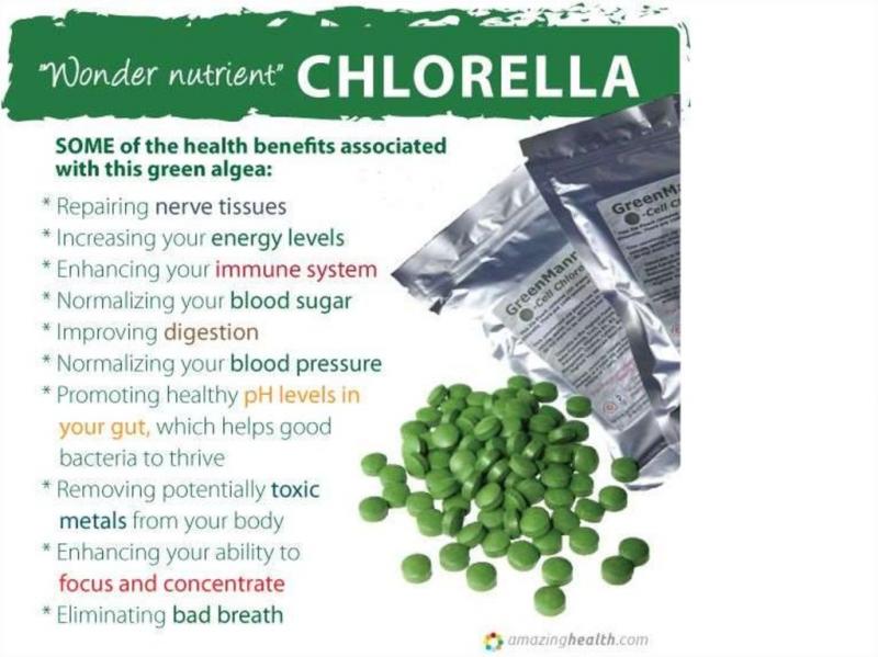 Key Facts About Sun Chlorella Supplements: Discover The Incredible Health Benefits You Never Knew