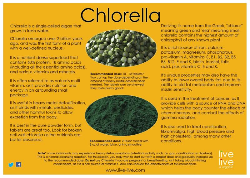 Key Facts About Sun Chlorella Supplements: Discover The Incredible Health Benefits You Never Knew