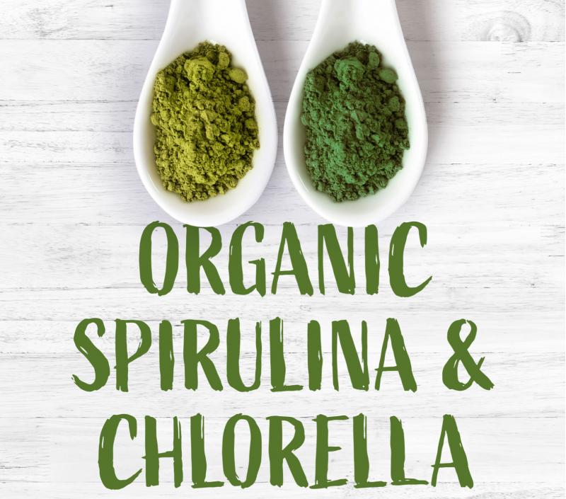 Key Facts About Sun Chlorella Supplements: Discover The Incredible Health Benefits You Never Knew