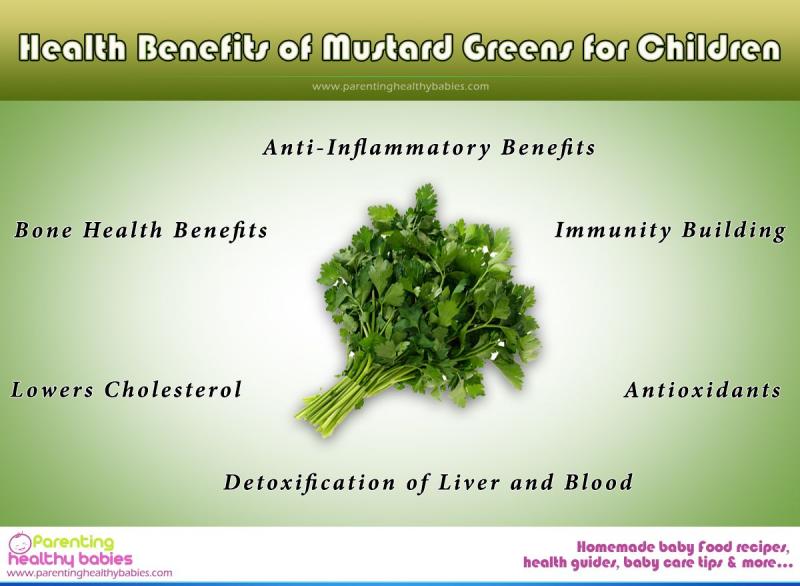 Key Facts About Sun Chlorella Supplements: Discover The Incredible Health Benefits You Never Knew