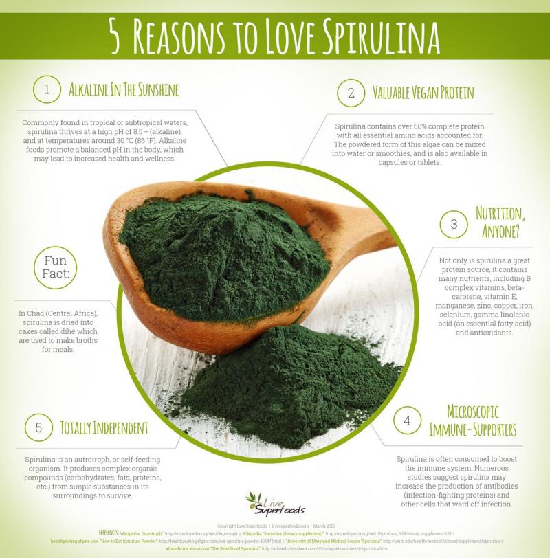 Key Facts About Sun Chlorella Supplements: Discover The Incredible Health Benefits You Never Knew