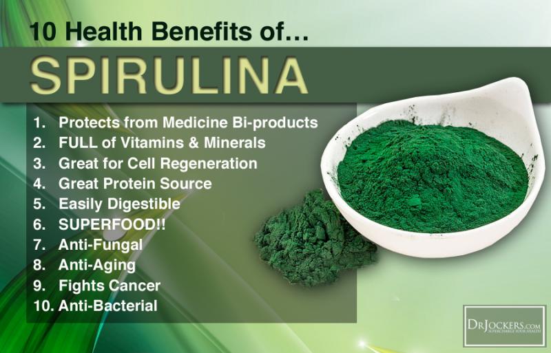 Key Facts About Sun Chlorella Supplements: Discover The Incredible Health Benefits You Never Knew