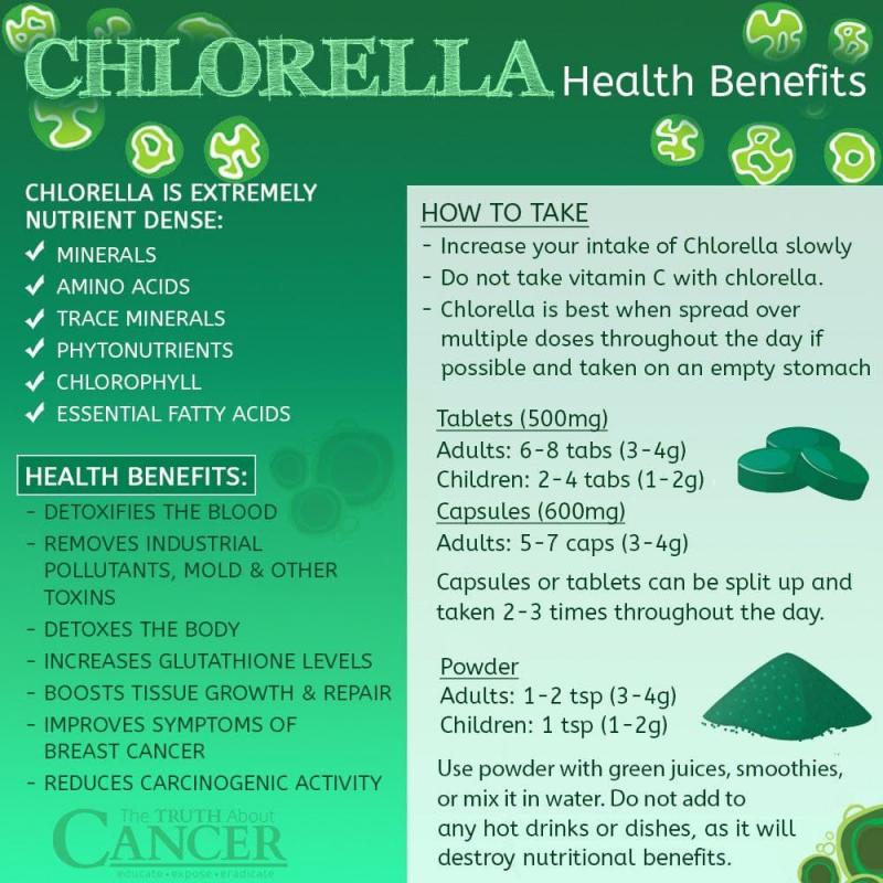 Key Facts About Sun Chlorella Supplements: Discover The Incredible Health Benefits You Never Knew