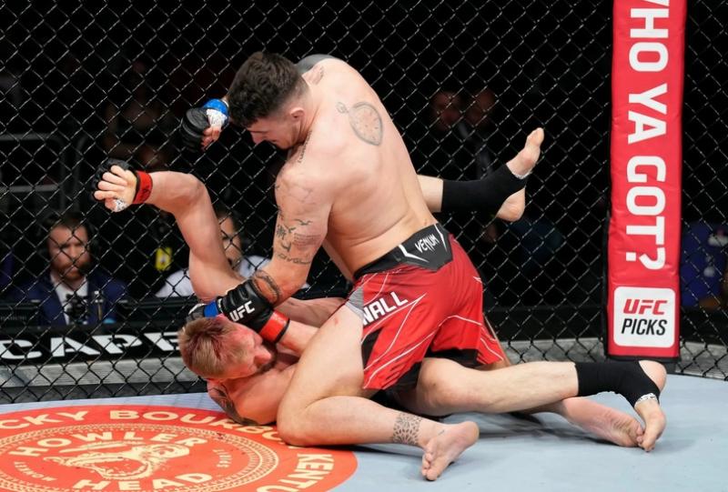 Kick Up Your MMA Training This Year: Discover The Top MMA Pads That Deliver Maximum Impact