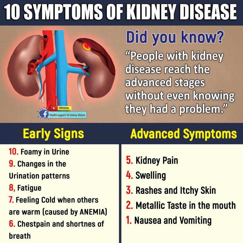 Kidney Pads Lacrosse: Are You Properly Protecting Your Ribs & Organs During Play