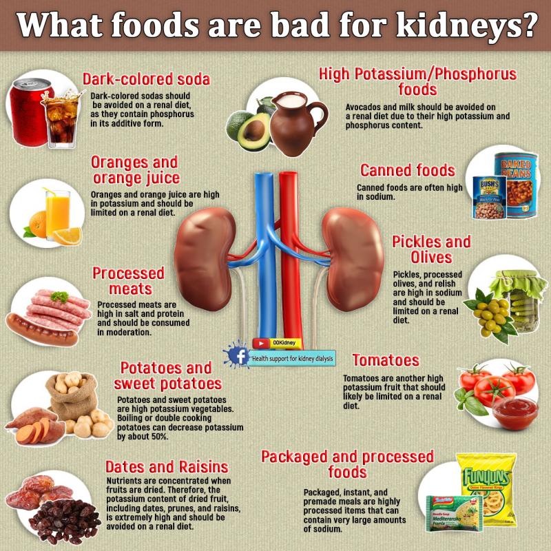 Kidney Pads Lacrosse: Are You Properly Protecting Your Ribs & Organs During Play