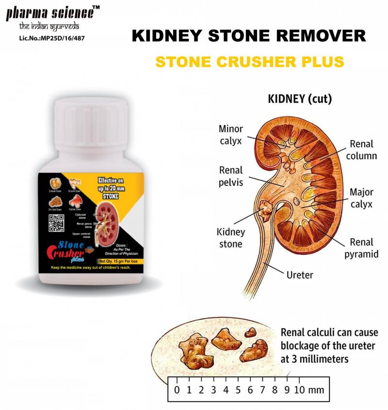 Kidney Pads Lacrosse: Are You Properly Protecting Your Ribs & Organs During Play