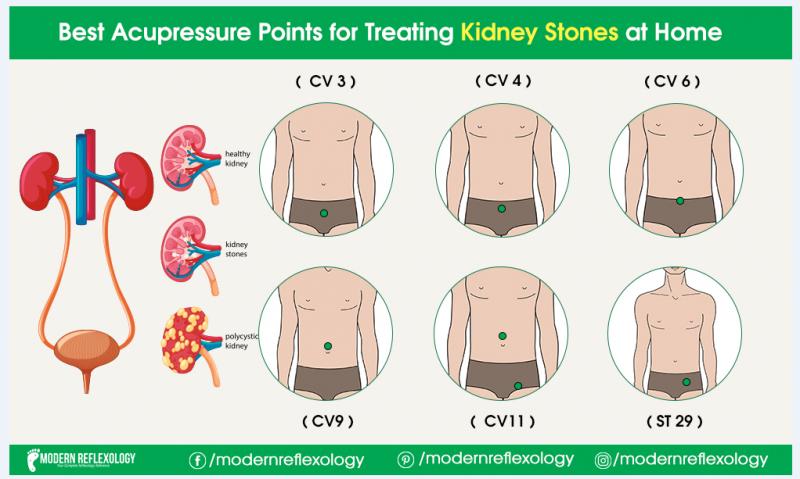 Kidney Pads Lacrosse: Are You Properly Protecting Your Ribs & Organs During Play