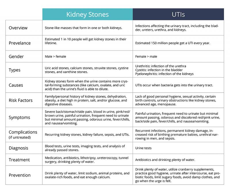 Kidney Pads Lacrosse: Are You Properly Protecting Your Ribs & Organs During Play
