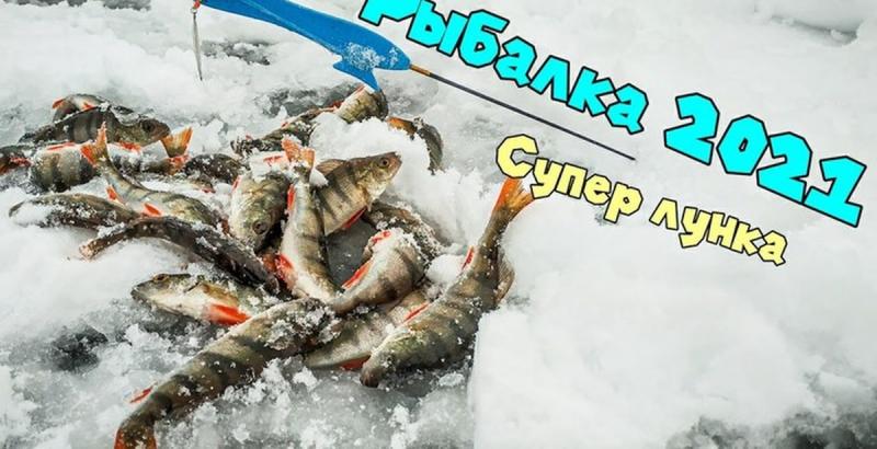 Kill More Fish This Winter With A Tickle Stick: The Secret Weapon All Ice Anglers Need