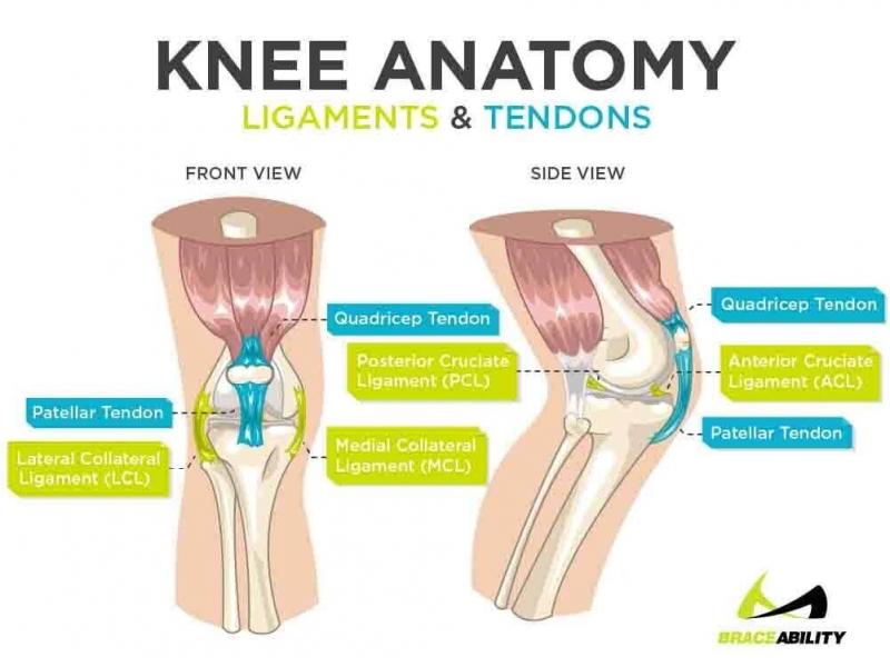Knee Pain Got You Down. Find Out How Mueller Knee Supports Can Help