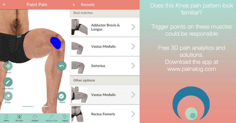 Knee Pain Got You Down: Read Our Shock Doctor Knee Sleeve Review
