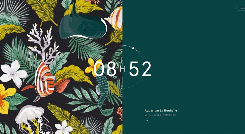 Lacrosse Backpack Trends in 2023: Discover the Top Floral and Custom Designs