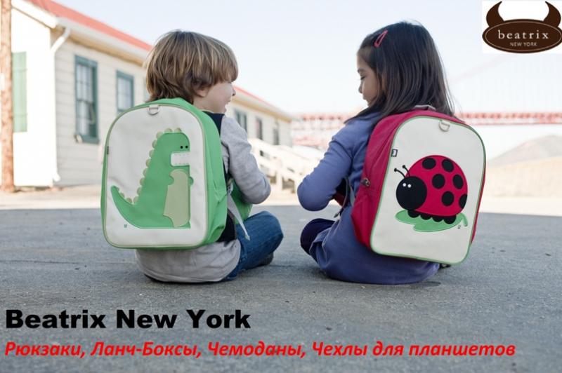Lacrosse Bags For School: How To Pick The Perfect Bag For Your Kid This Year