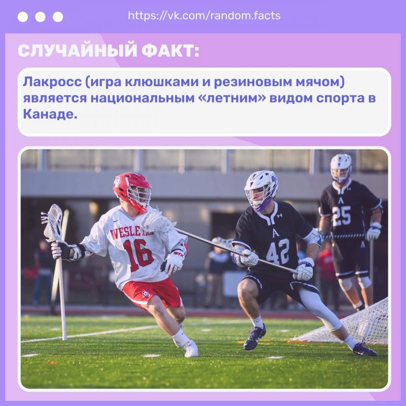 Lacrosse Fans Ask: Are There 15 Engaging Things About New York Lacrosse To Know