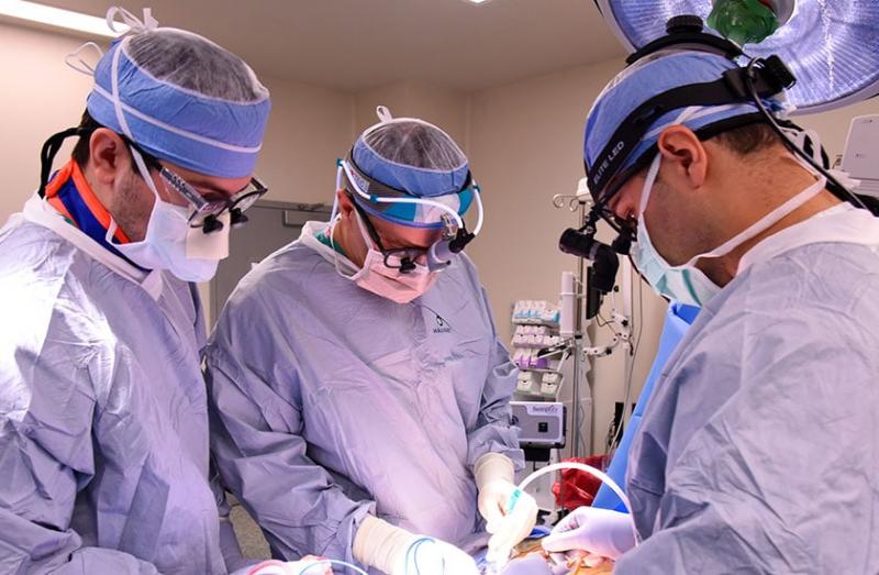 Lacrosse Heads That Surgeons Swear By: Top 15 Surgeon 900s That Deliver Surgical Precision