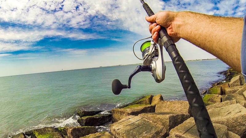 Learn How to Choose the Right Daiwa Surf Rod: 15 Steps for Picking the Perfect Rod for the Surf