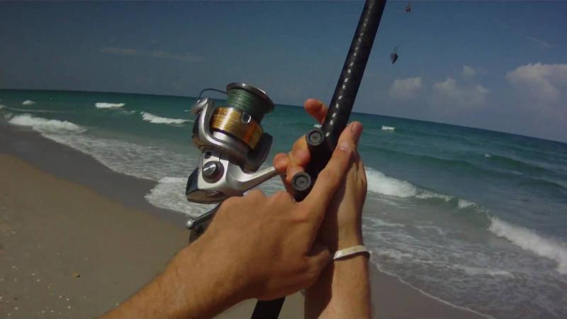 Learn How to Choose the Right Daiwa Surf Rod: 15 Steps for Picking the Perfect Rod for the Surf