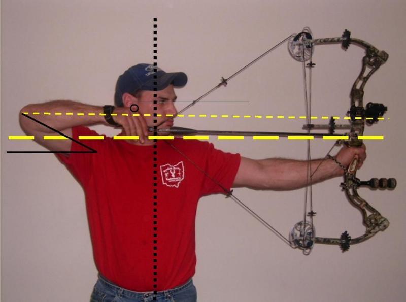 Left-Handed Archers: The Best Bear Bows For Southpaws