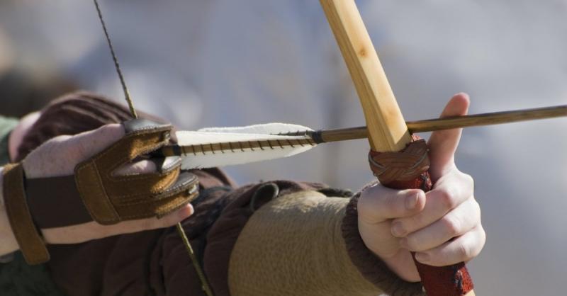 Left-Handed Archers: The Best Bear Bows For Southpaws