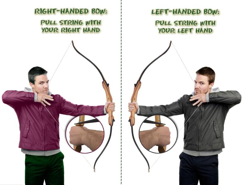 Left-Handed Archers: The Best Bear Bows For Southpaws