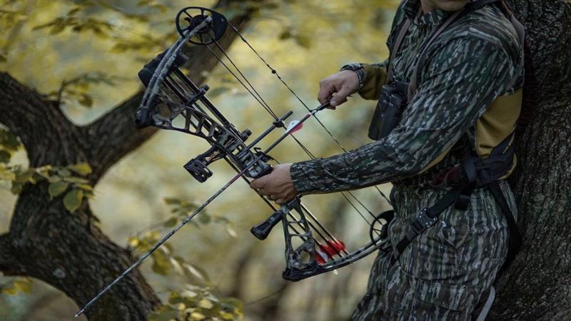 Left-Handed Archers: The Best Bear Bows For Southpaws