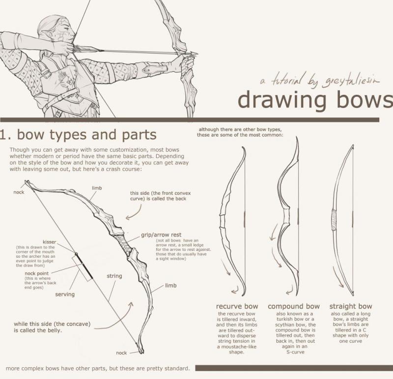 Left Hand Recurve Bows: The Only Guide You