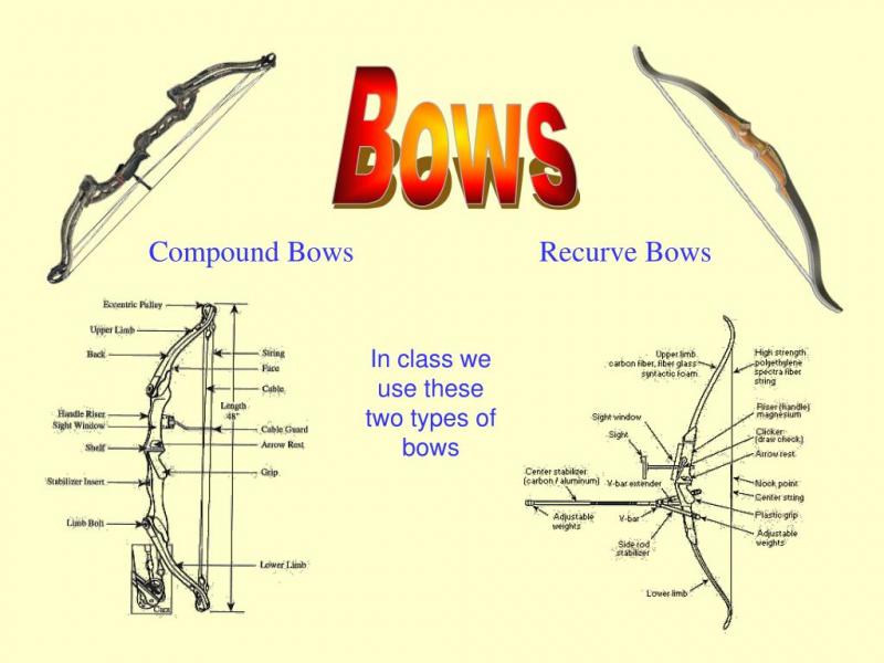 Left Hand Recurve Bows: The Only Guide You