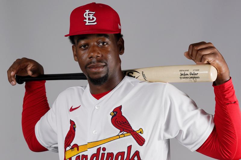 Looking for a Cardinals Canopy. Discover the Top 15 Features of a Cardinals Pop Up Canopy