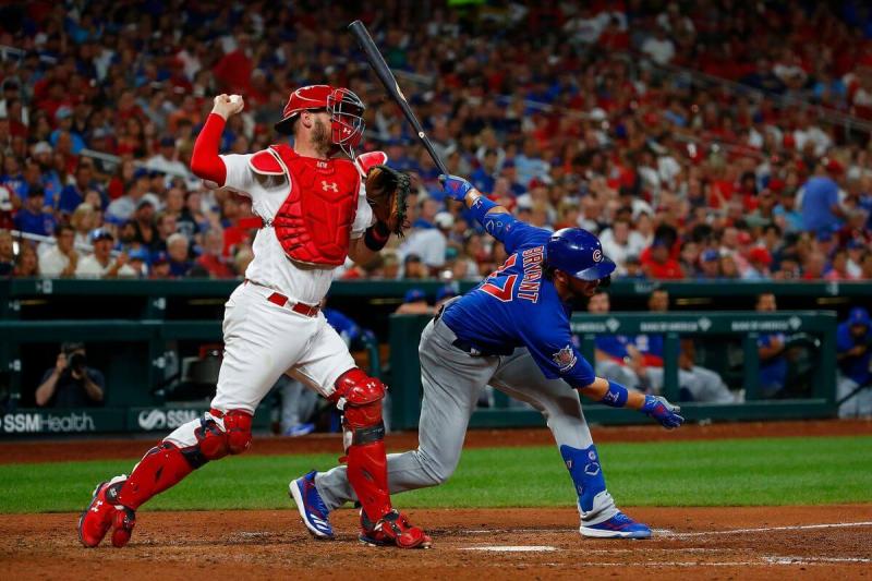 Looking for a Cardinals Jersey This Season. Consider These 15 Must-Have Features