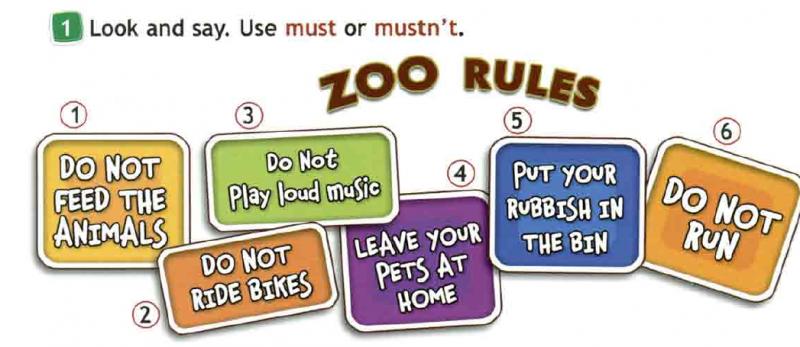 Looking for a Classic Salty Crew Shirt to Upgrade Your Wardrobe. Here are 15 Must-Have Features to Look For