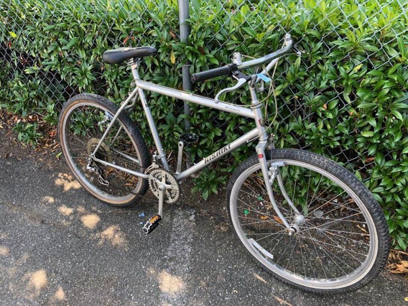 Looking for a Comfortable Bike. Is the Nishiki Tamarack Right For You