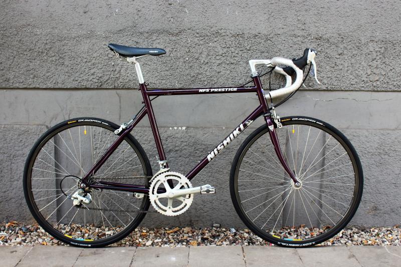 Looking for a Comfortable Bike. Is the Nishiki Tamarack Right For You