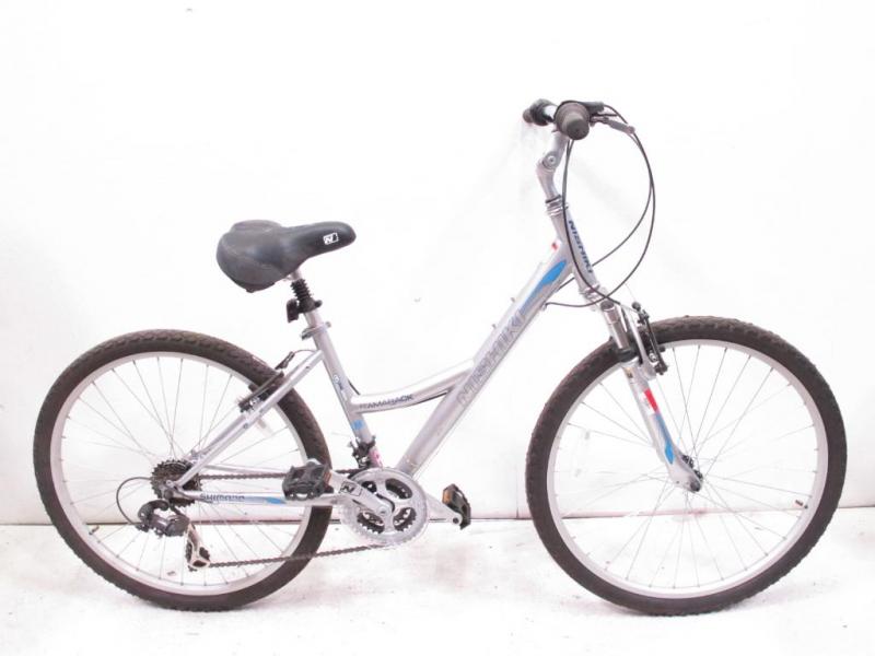 Looking for a Comfortable Bike. Is the Nishiki Tamarack Right For You