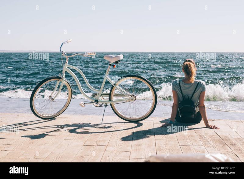 Looking for a Comfy Cruiser under $300: Why the Schwinn Largo 7 is the Perfect Budget Beach Bike