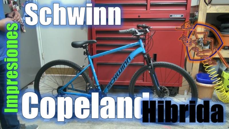 Looking for a Comfy Cruiser under $300: Why the Schwinn Largo 7 is the Perfect Budget Beach Bike