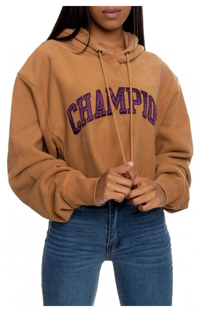 Looking for a Cozy Hoodie This Fall. Check Out These Cute Brown Champion Hoodies for Women