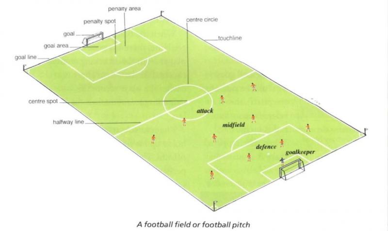 Looking for a Football to Buy or Sell: 15 Insider Tips to Find the Best Foot Ball Prices