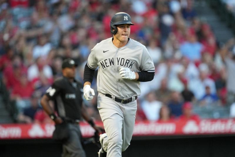 Looking for a New Rizzo Jersey This Season. Check out These 15 Tips for Finding the Perfect Yankees Shirt