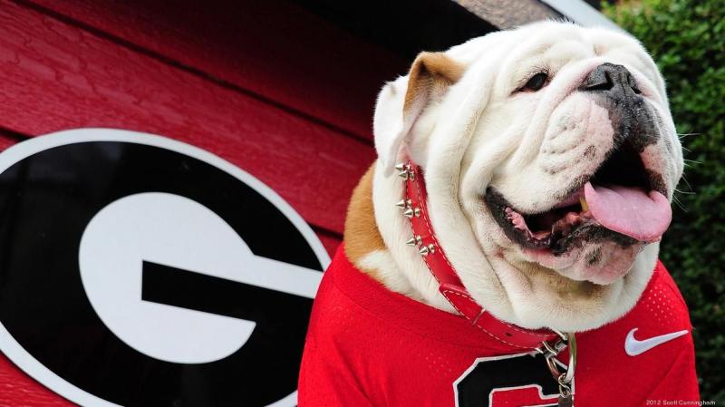 Looking for a Unique Gift: 15 Reasons to Buy a Georgia Bulldogs Football Jersey