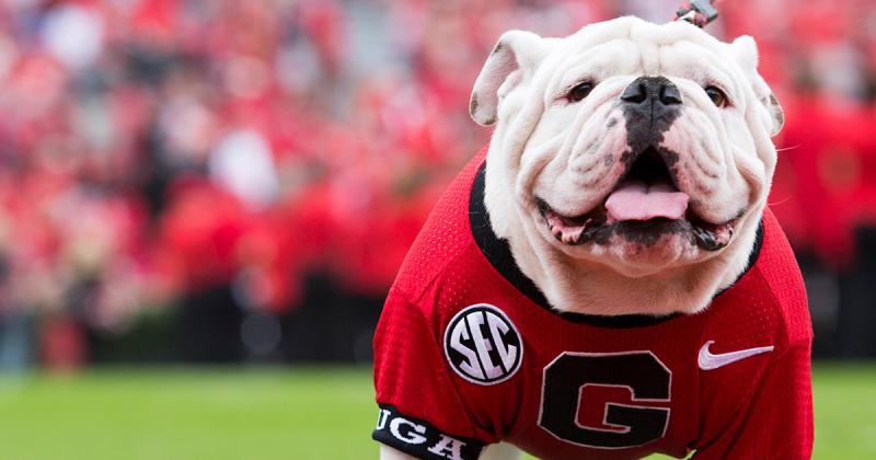 Looking for a Unique Gift: 15 Reasons to Buy a Georgia Bulldogs Football Jersey